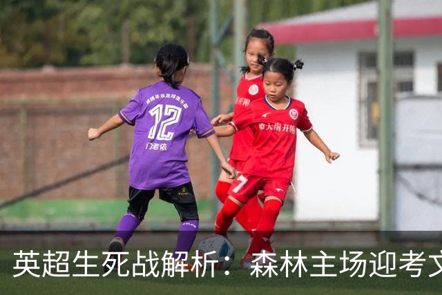 英超生死战解析：森林主场迎考文垂，积分差距下的战术博弈